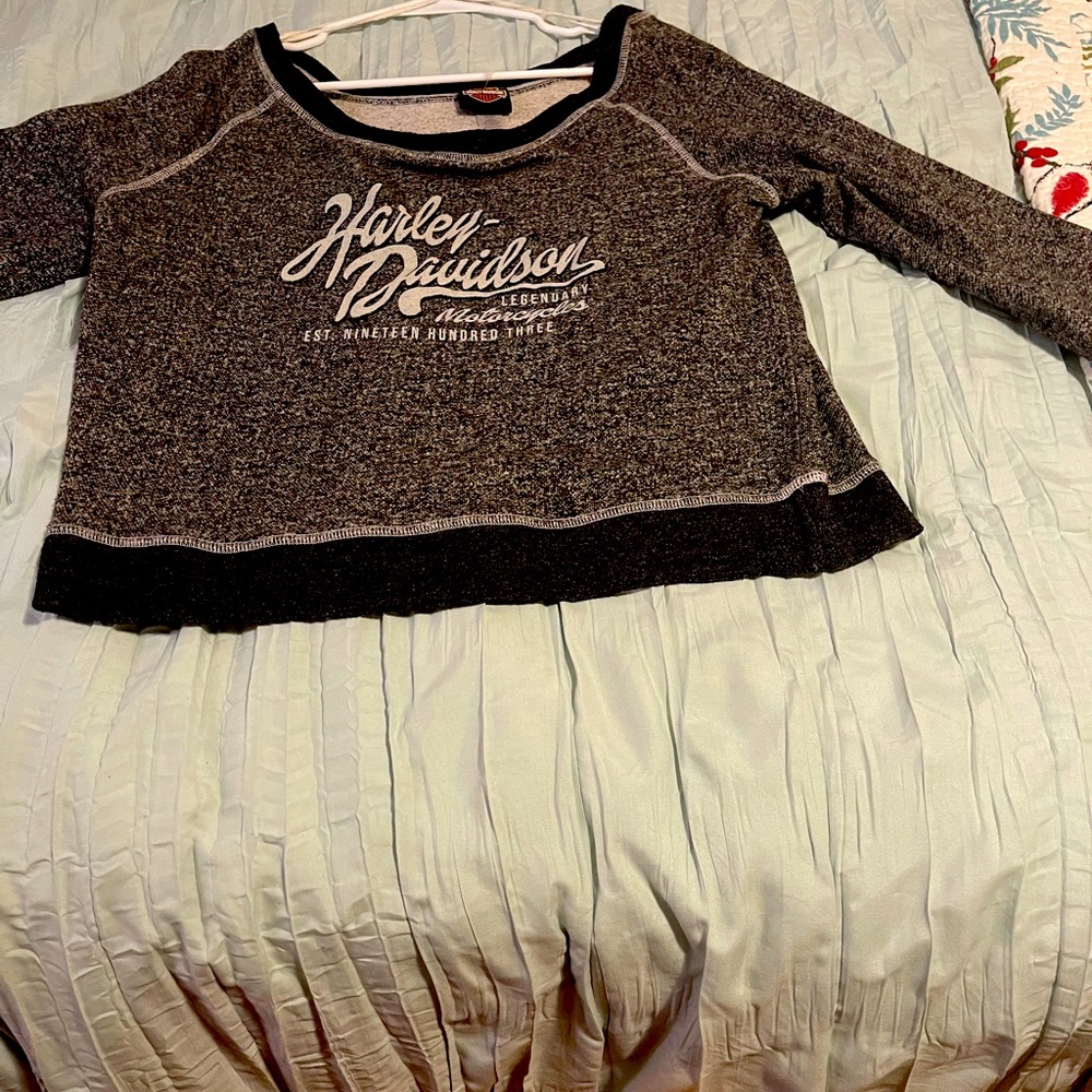 Harley Davidson pull over